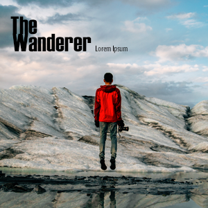 The Wanderer Album Cover
